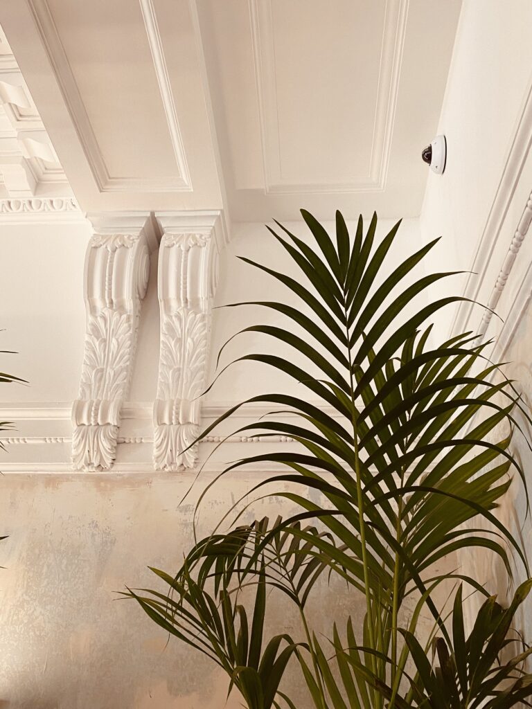 Plant corner